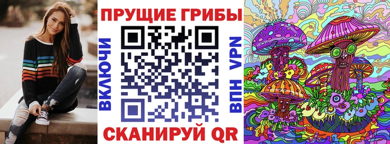 Купить где  Новоаннинский  Галлюциногенные грибы GOLDEN TEACHER 